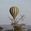 Serengeti balloon safari